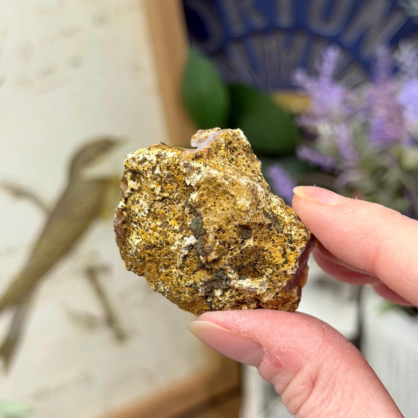 Raw Pink Botryoidal Chalcedony Specimen from Morocco | Chalcedony Geode