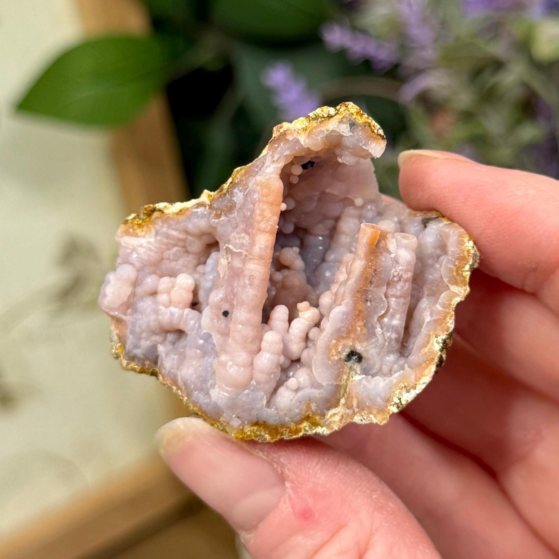 Raw Pink Botryoidal Chalcedony Specimen from Morocco | Chalcedony Geode