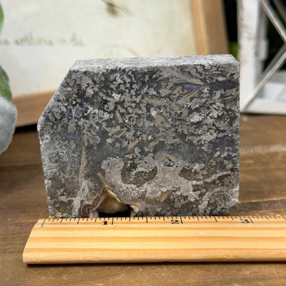 Marcasite in Agate Slab | Nipomo Agate