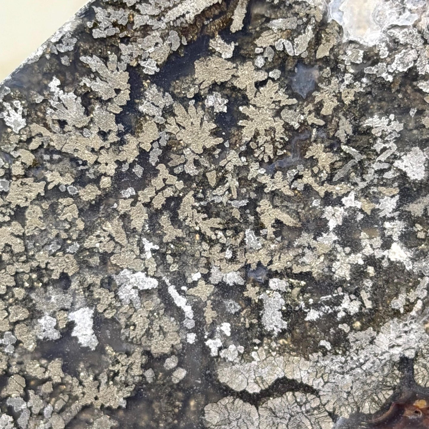 Marcasite in Agate Slab | Nipomo Agate