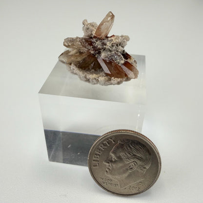 Utah Topaz Crystal Cluster on Matrix | Natural Champagne Topaz from the Thomas Range | Utah Mineral Specimen