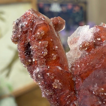 High Quality Moroccan Hematoid Quartz Cluster | Red Hematite Quartz | Red Dragon Hematoid Quartz | Fire Quartz Cluster
