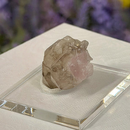 Rare Elestial Smoky Quartz Over Crystallized Rose Quartz Specimen from Minas Gerais, Brazil | Canga Rosa Cluster | Smoky Rose Quartz