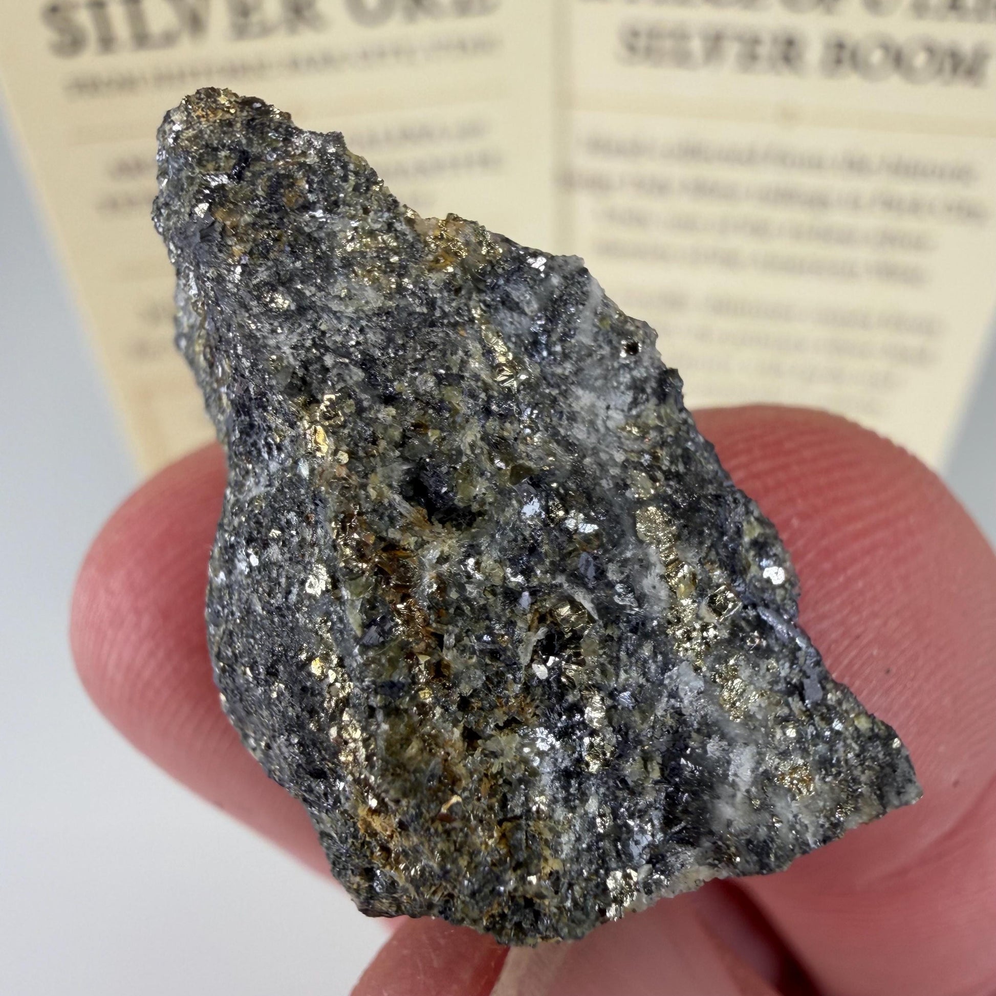 Historic Silver Ore | 8g | Silver-Bearing Galena & Pyrite from Park City, Utah | Judge Daly Mine | Certified Provenance/Display Card (#005)