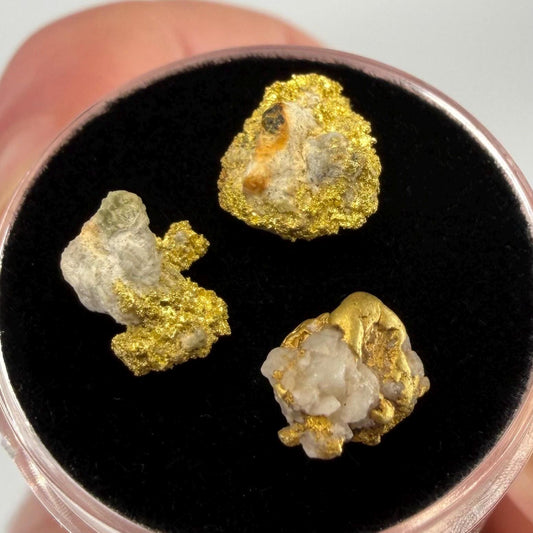 California Gold on Quartz Specimen Lot | Nevada County & Grass Valley | 1.50g Natural Gold Nuggets
