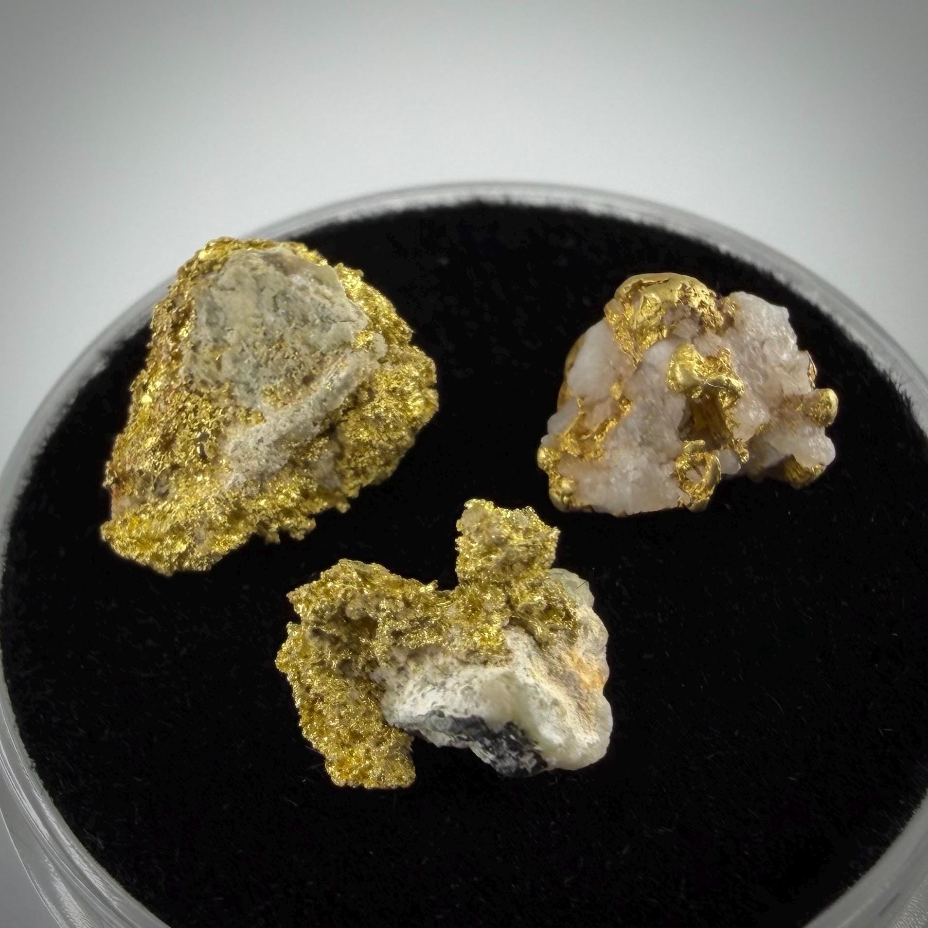 California Gold on Quartz Specimen Lot | Nevada County & Grass Valley | 1.50g Natural Gold Nuggets