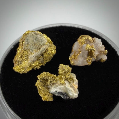 California Gold on Quartz Specimen Lot | Nevada County & Grass Valley | 1.50g Natural Gold Nuggets