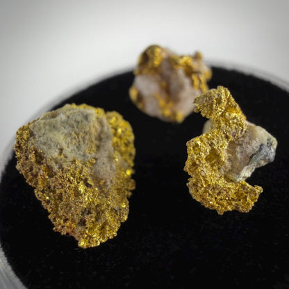 California Gold on Quartz Specimen Lot | Nevada County & Grass Valley | 1.50g Natural Gold Nuggets