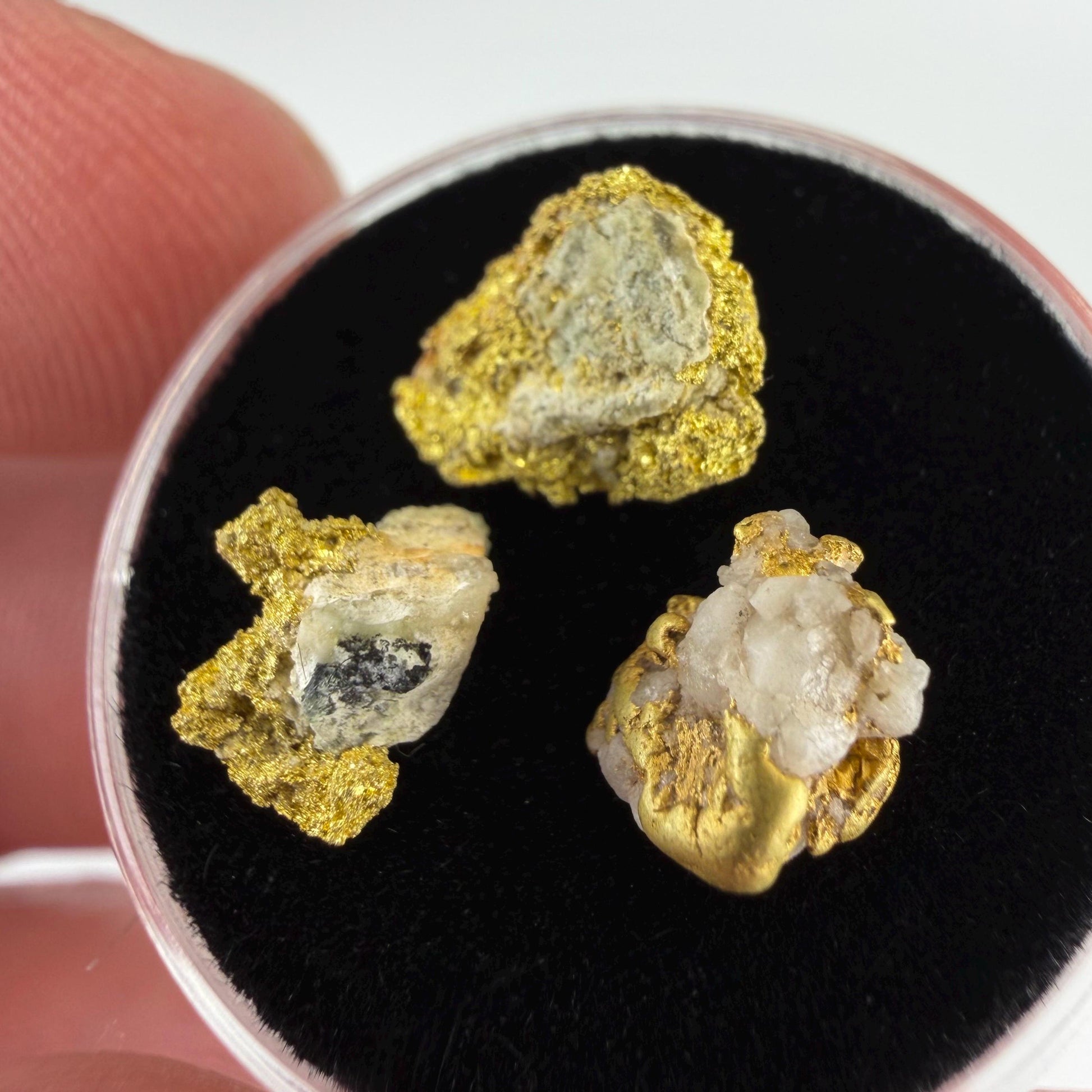 California Gold on Quartz Specimen Lot | Nevada County & Grass Valley | 1.50g Natural Gold Nuggets