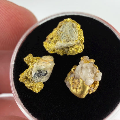 California Gold on Quartz Specimen Lot | Nevada County & Grass Valley | 1.50g Natural Gold Nuggets