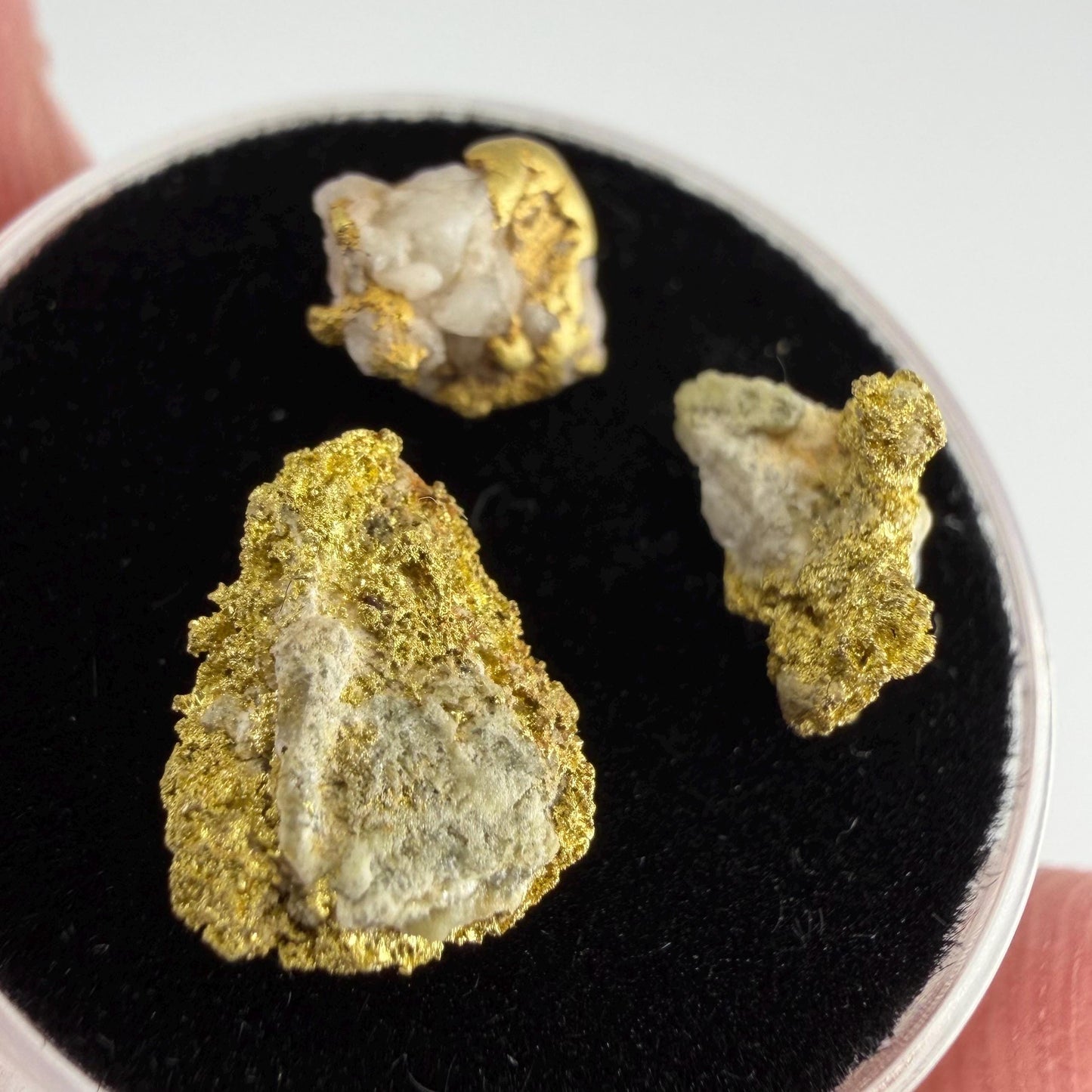 California Gold on Quartz Specimen Lot | Nevada County & Grass Valley | 1.50g Natural Gold Nuggets