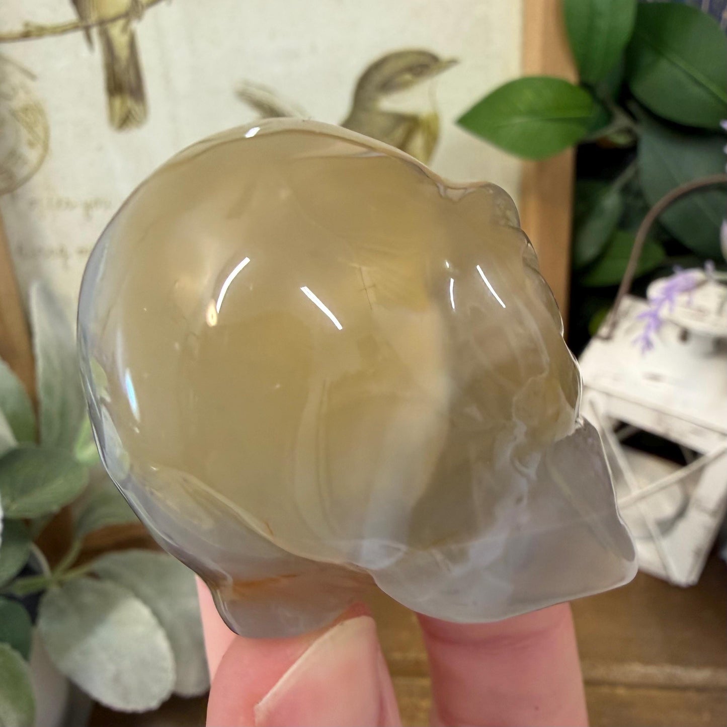 Agate Alien Head | Crystal Alien Carving