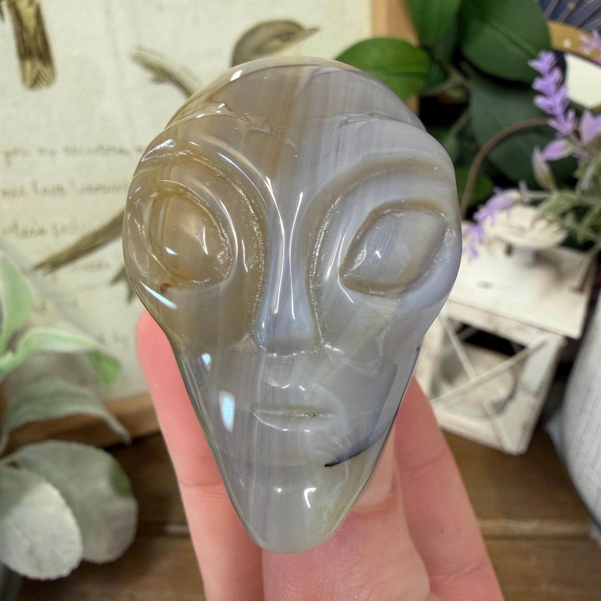 Agate Alien Head | Crystal Alien Carving
