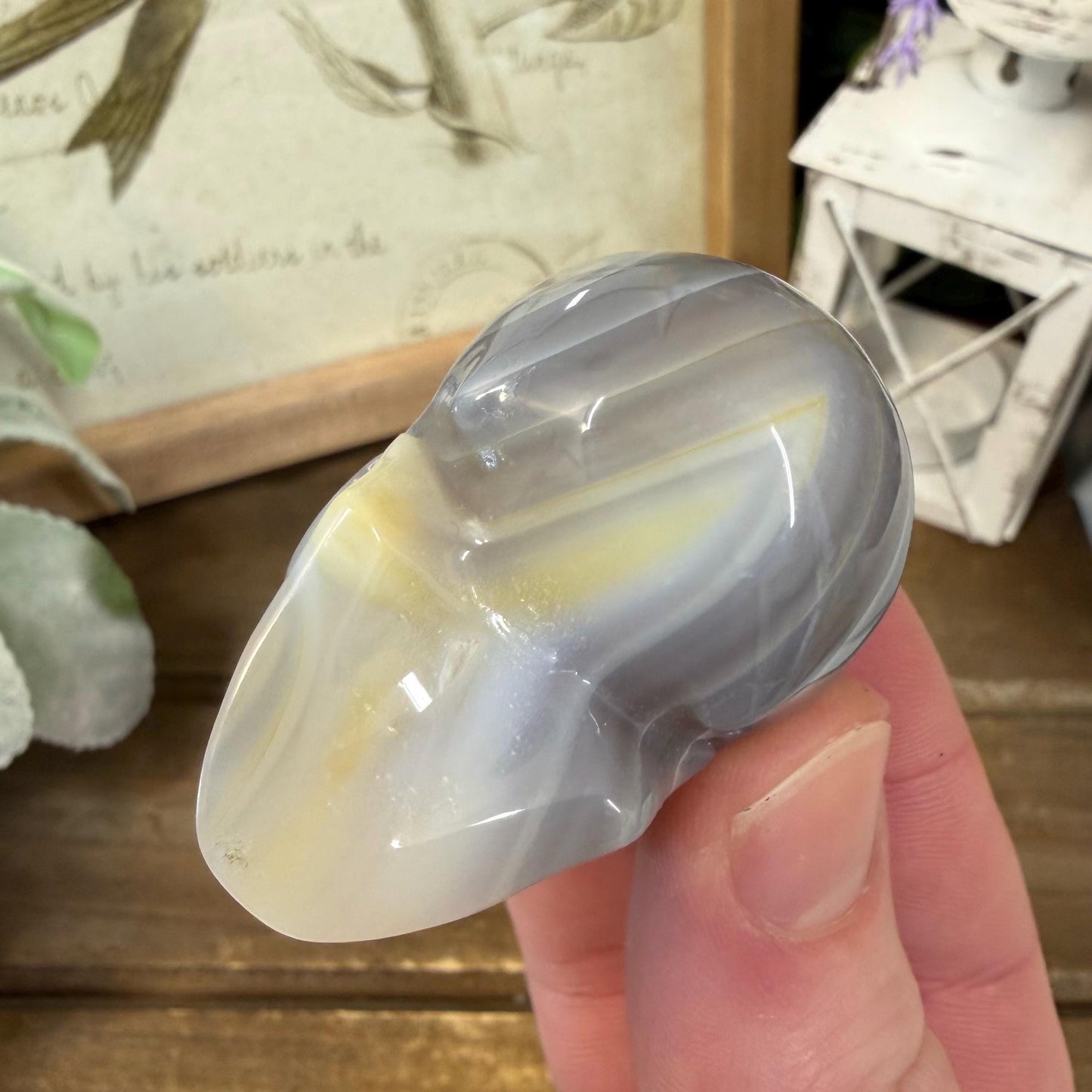 Small Banded Agate Skull | Crystal Skull | Quartz Skull