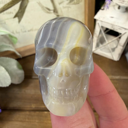 Small Banded Agate Skull | Crystal Skull | Quartz Skull