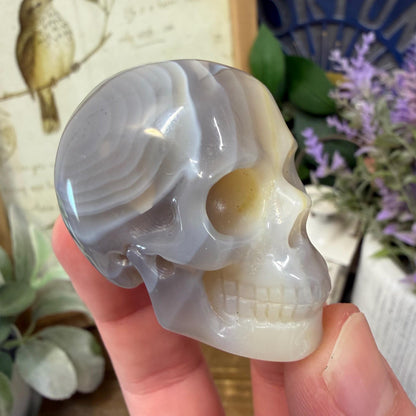 Small Banded Agate Skull | Crystal Skull | Quartz Skull