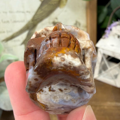 Small Mexican Lace Agate Skull | Crystal Skull | Banded Agate