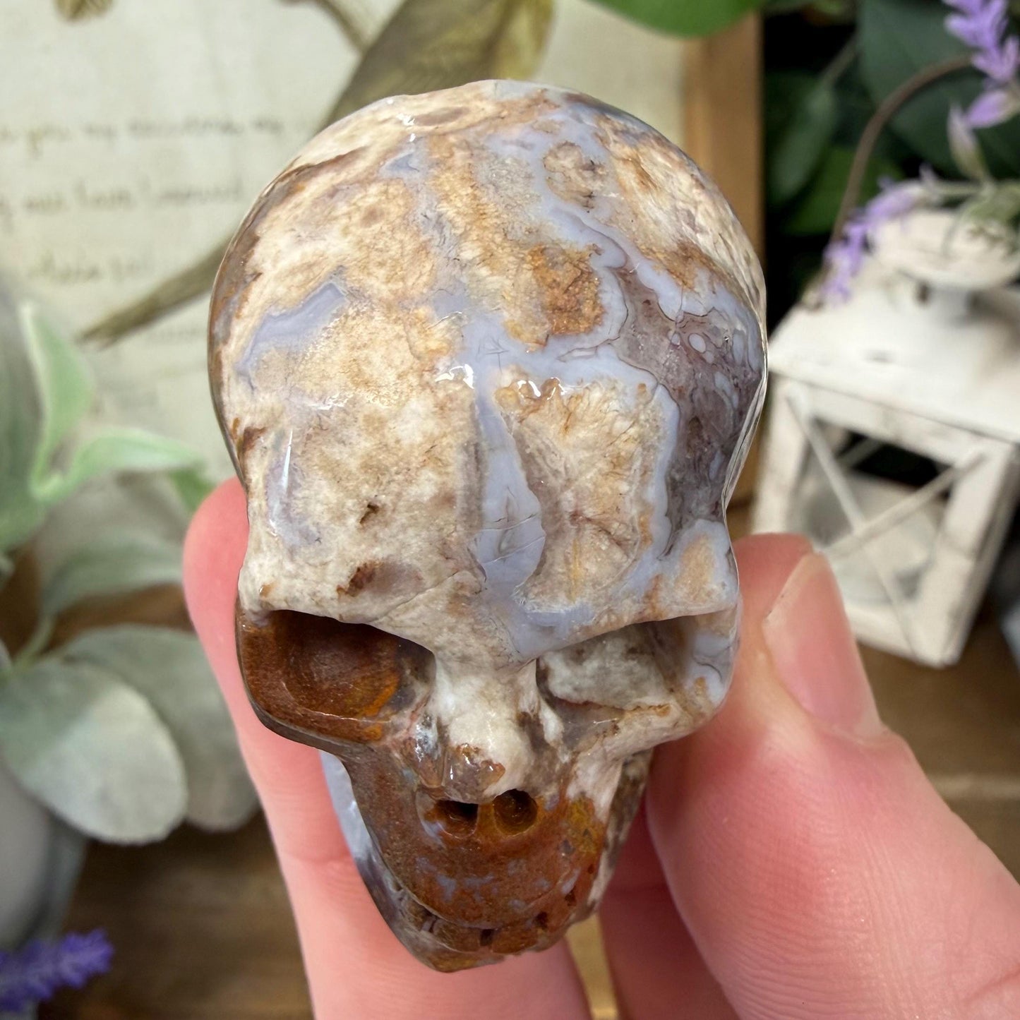 Small Mexican Lace Agate Skull | Crystal Skull | Banded Agate