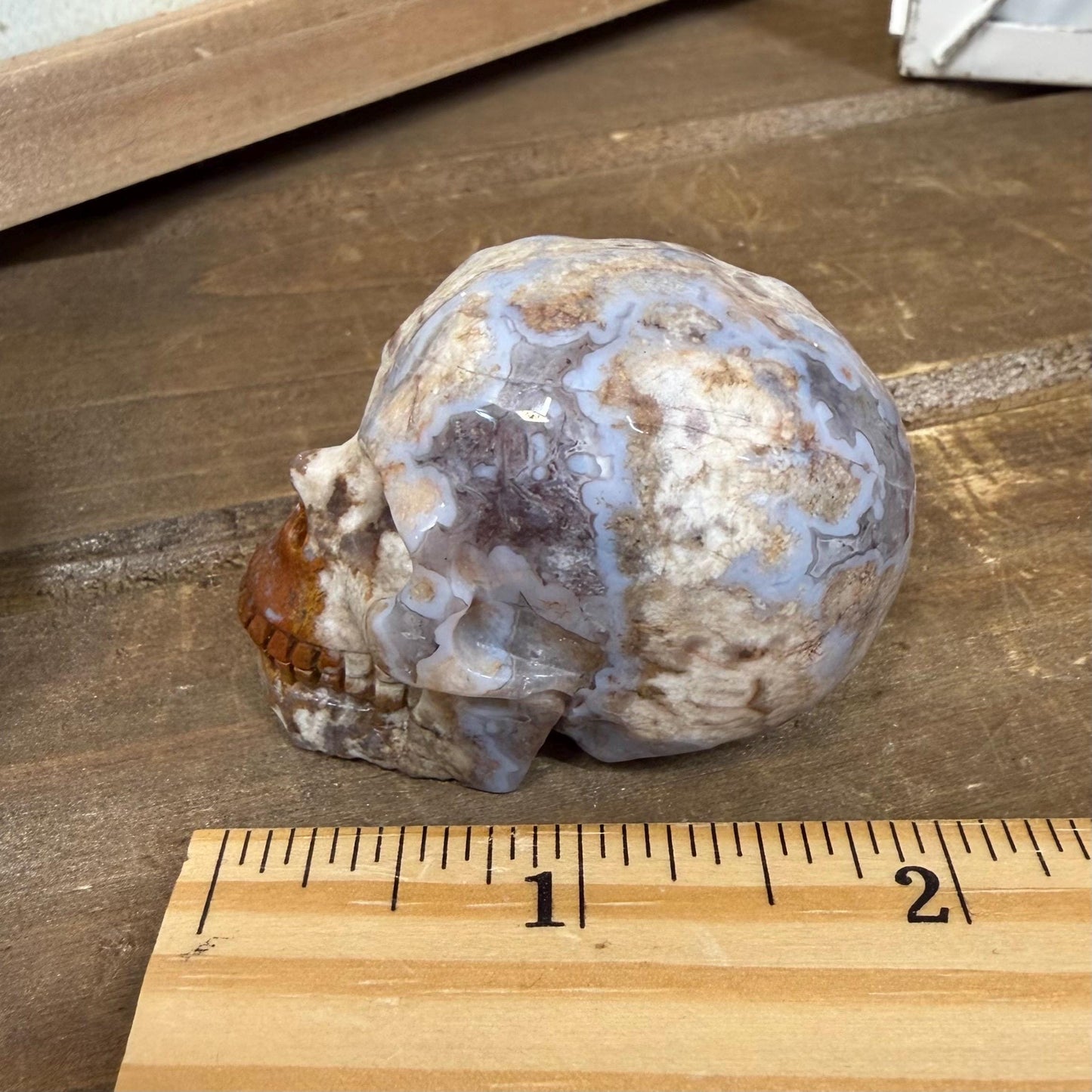 Small Mexican Lace Agate Skull | Crystal Skull | Banded Agate
