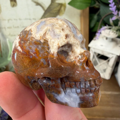 Small Mexican Lace Agate Skull | Crystal Skull | Banded Agate