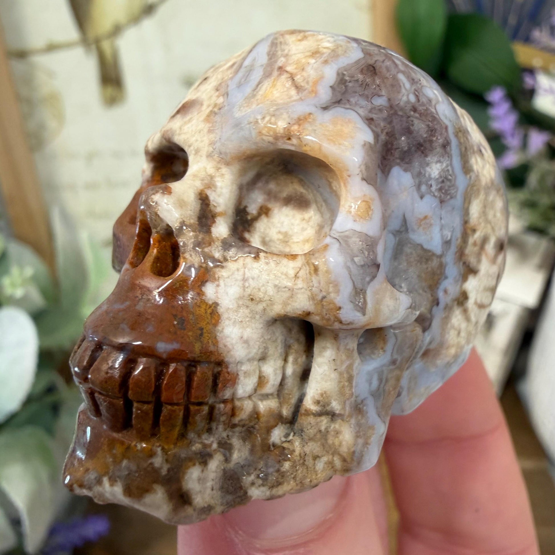 Small Mexican Lace Agate Skull | Crystal Skull | Banded Agate