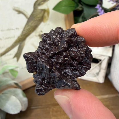 Unique Large Prophecy Stone | Beautiful Symmetrical Growth Patterns