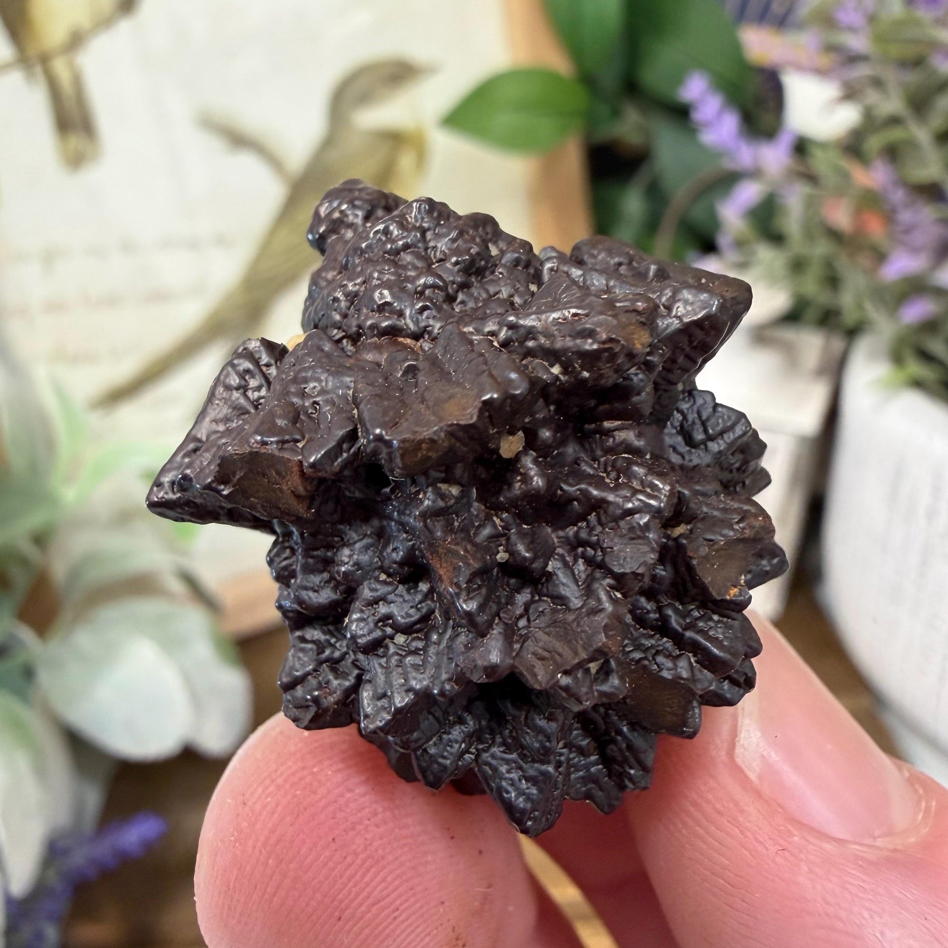 Unique Large Prophecy Stone | Beautiful Symmetrical Growth Patterns