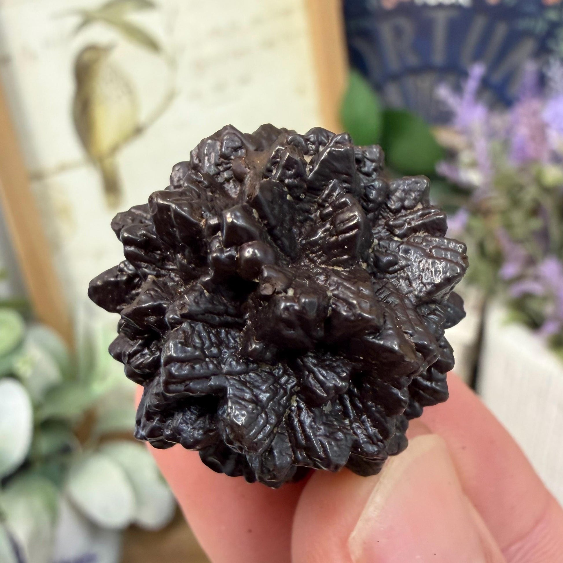 Unique Large Prophecy Stone | Beautiful Symmetrical Growth Patterns