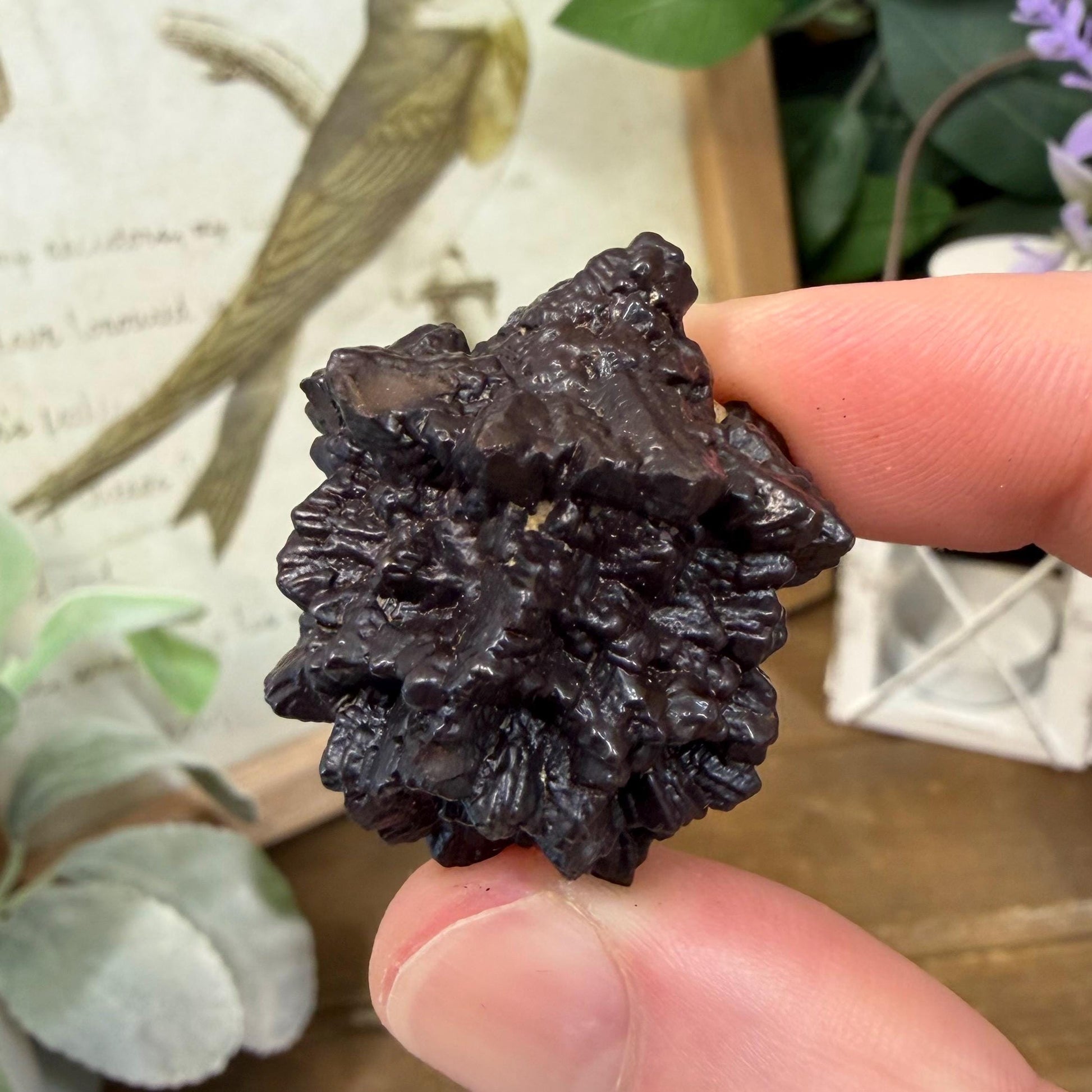 Unique Large Prophecy Stone | Beautiful Symmetrical Growth Patterns