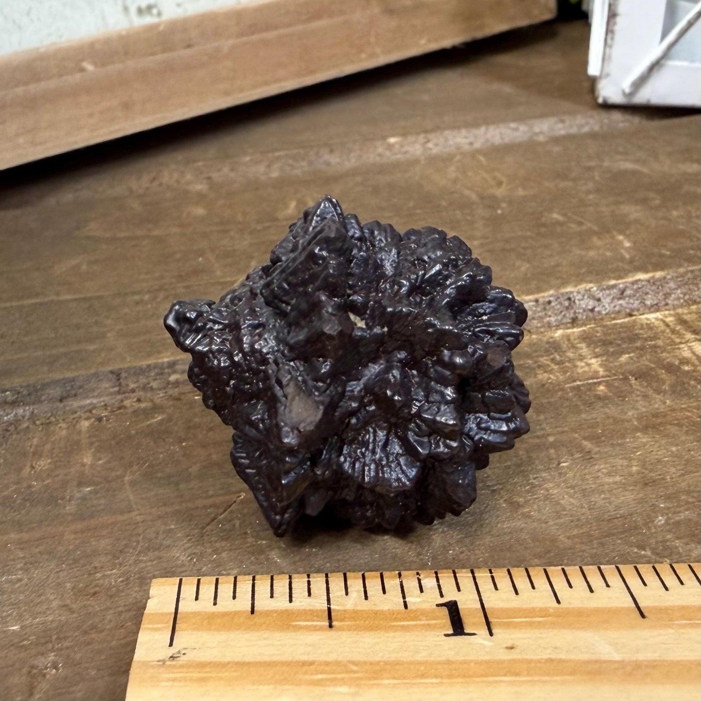 Unique Large Prophecy Stone | Beautiful Symmetrical Growth Patterns