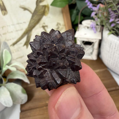 Unique Large Prophecy Stone | Displays Visible Growth Core