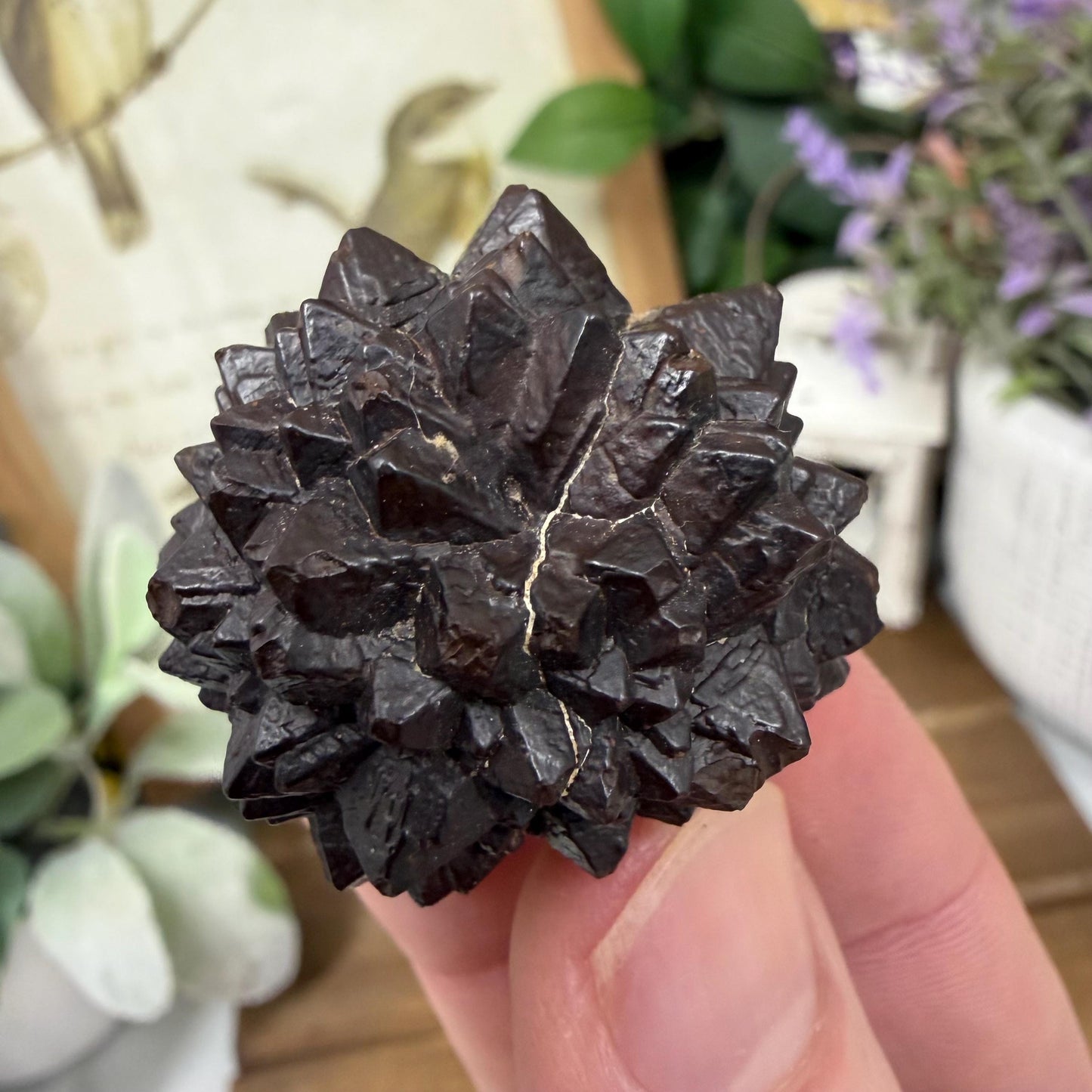 Unique Large Prophecy Stone | Displays Visible Growth Core