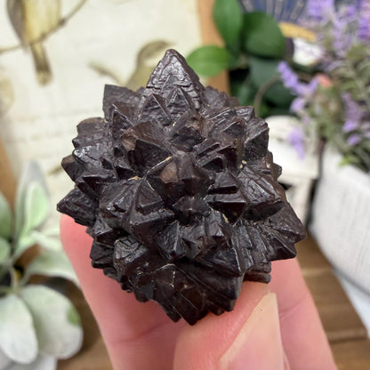 Unique Large Prophecy Stone | Displays Visible Growth Core