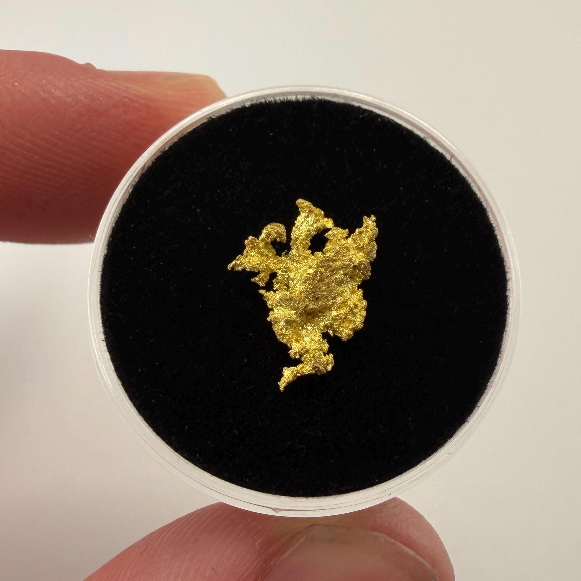 Dendritic Native Gold Specimen | 0.65g Natural Gold | Grass Valley, Nevada County California | Collector Gold