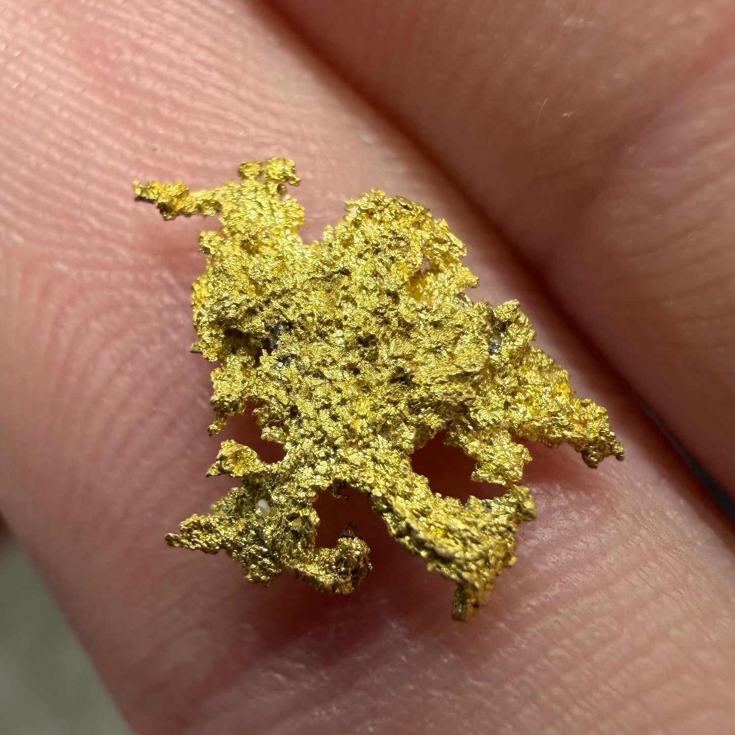 Dendritic Native Gold Specimen | 0.65g Natural Gold | Grass Valley, Nevada County California | Collector Gold