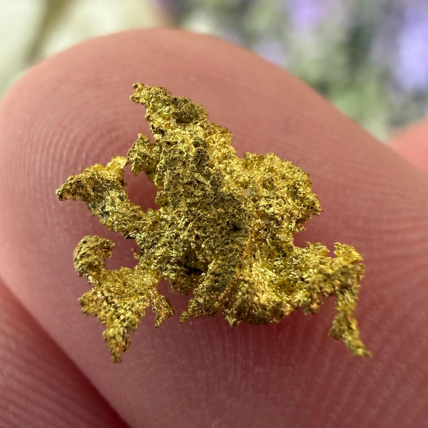 Dendritic Native Gold Specimen | 0.65g Natural Gold | Grass Valley, Nevada County California | Collector Gold