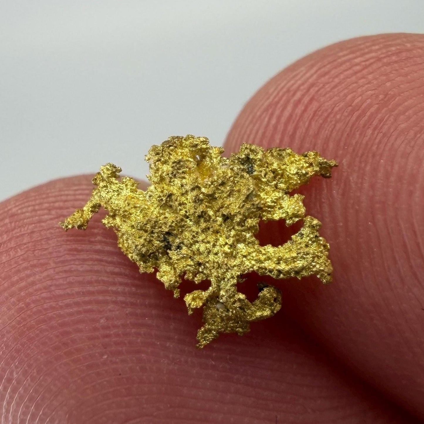Dendritic Native Gold Specimen | 0.65g Natural Gold | Grass Valley, Nevada County California | Collector Gold