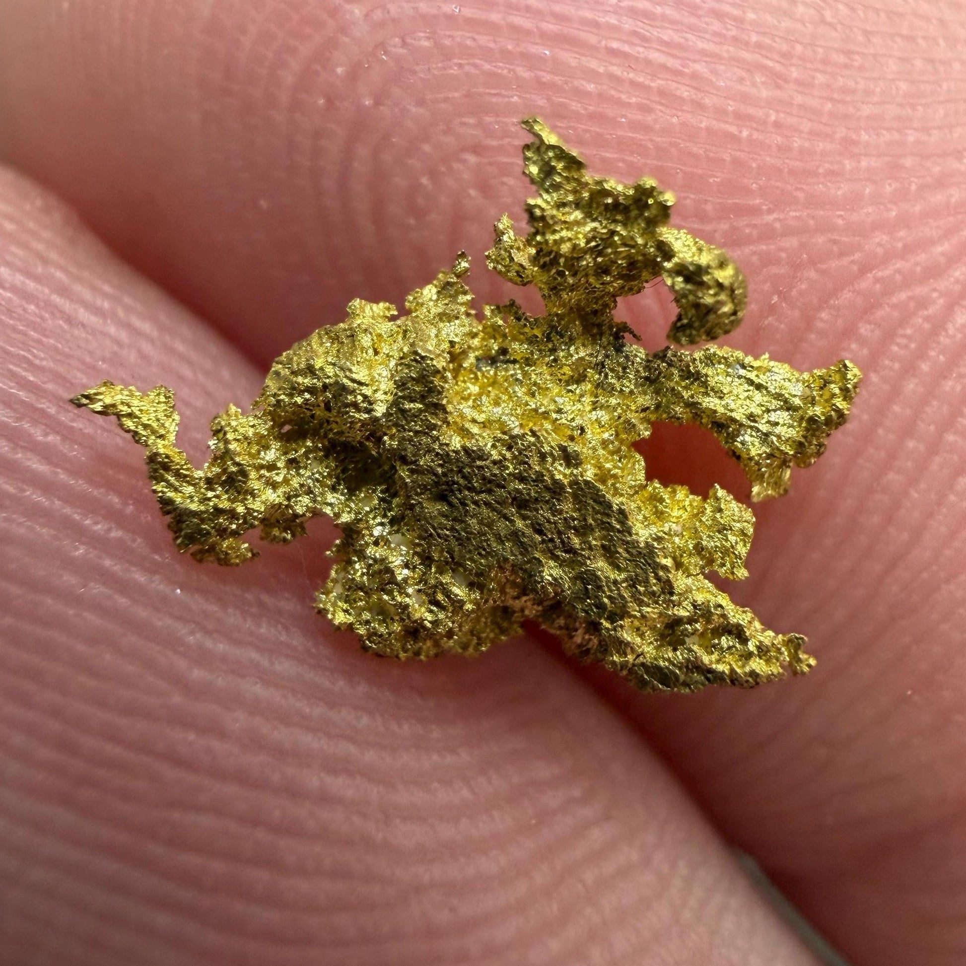 Dendritic Native Gold Specimen | 0.65g Natural Gold | Grass Valley, Nevada County California | Collector Gold