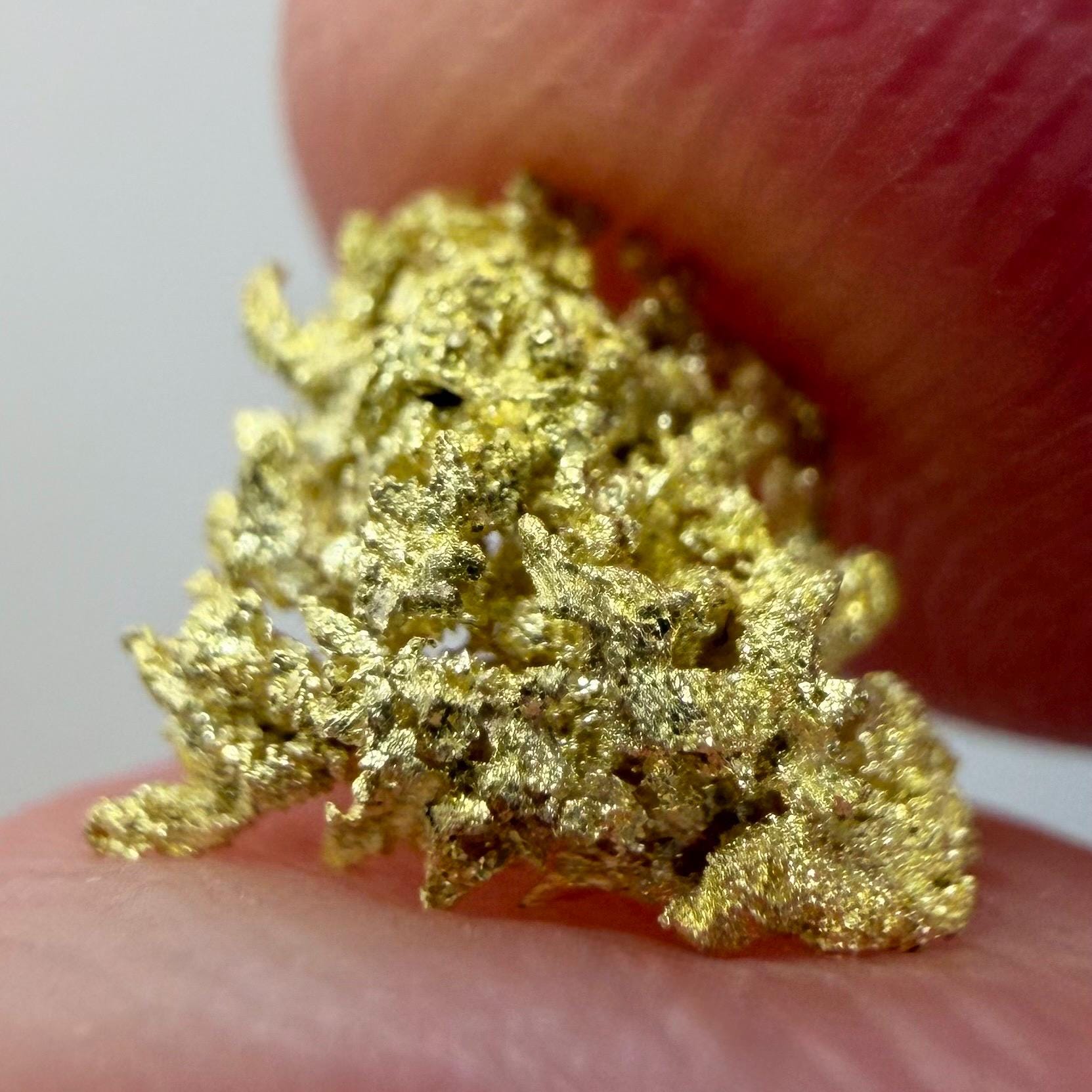 Crystallized Gold Nugget | Belshazzar Mine, Idaho | Natural Leaf & Dendritic Gold | 0.44g Collector Specimen