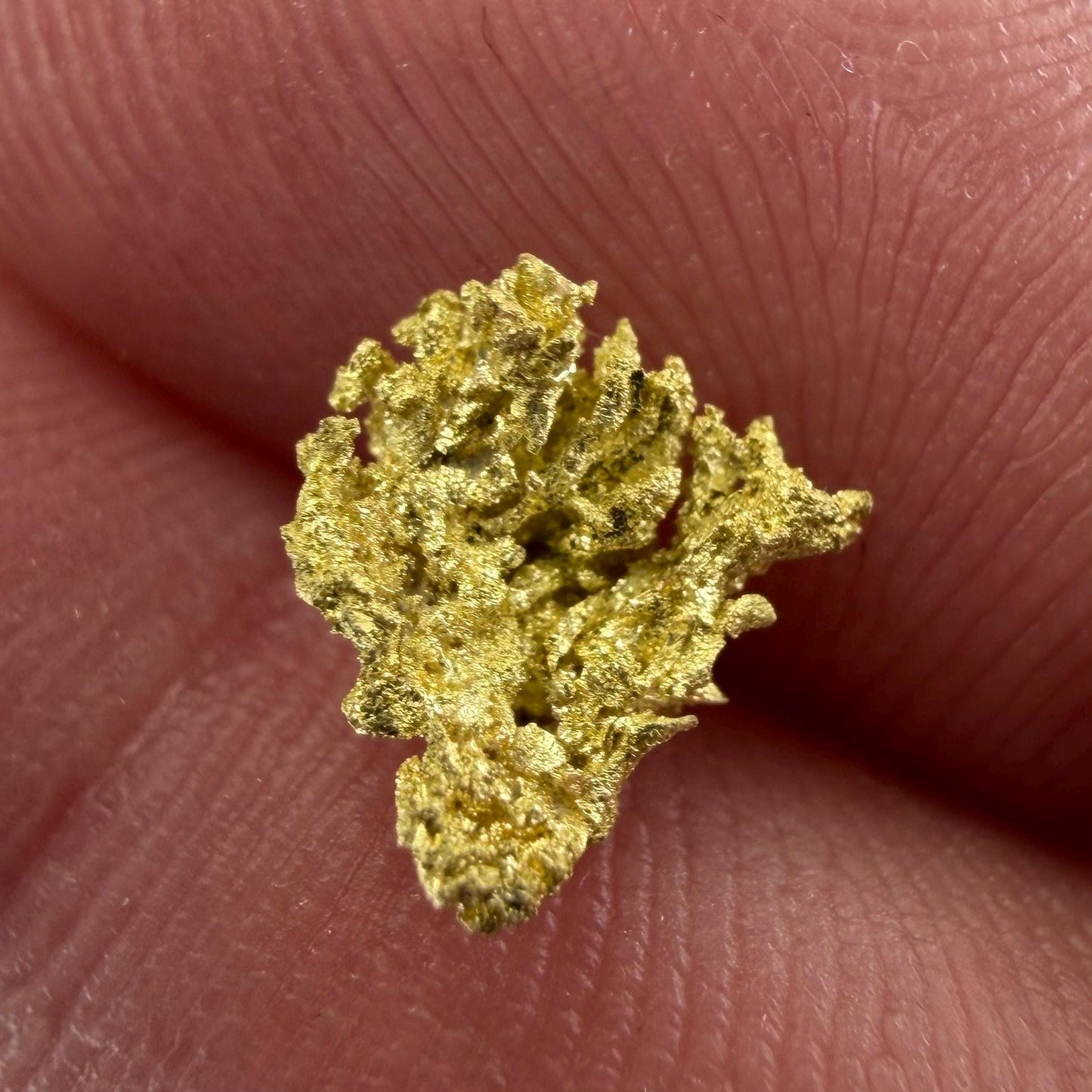 Crystallized Gold Nugget | Belshazzar Mine, Idaho | Natural Leaf & Dendritic Gold | 0.44g Collector Specimen