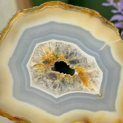 Rainbow Iris Agate | Iris Agate Slice