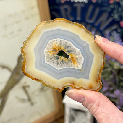 Rainbow Iris Agate | Iris Agate Slice
