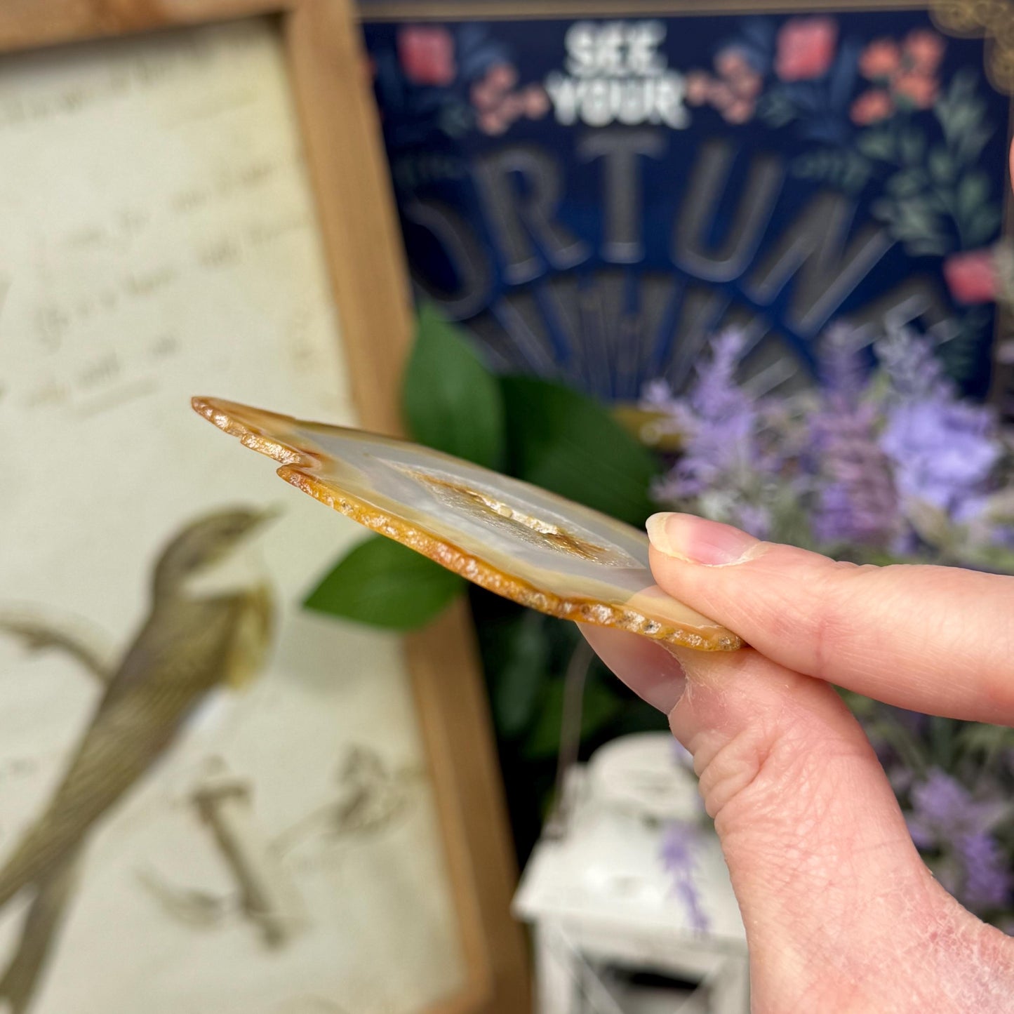 Rainbow Iris Agate | Iris Agate Slice