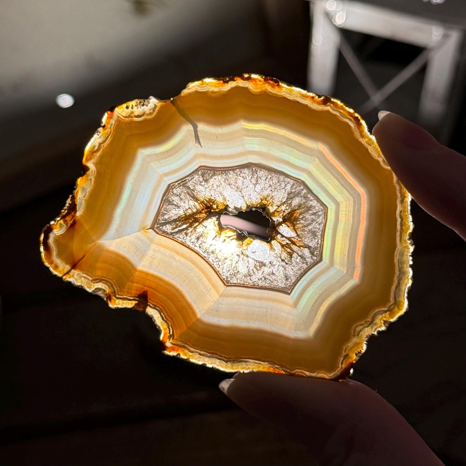 Rainbow Iris Agate | Iris Agate Slice