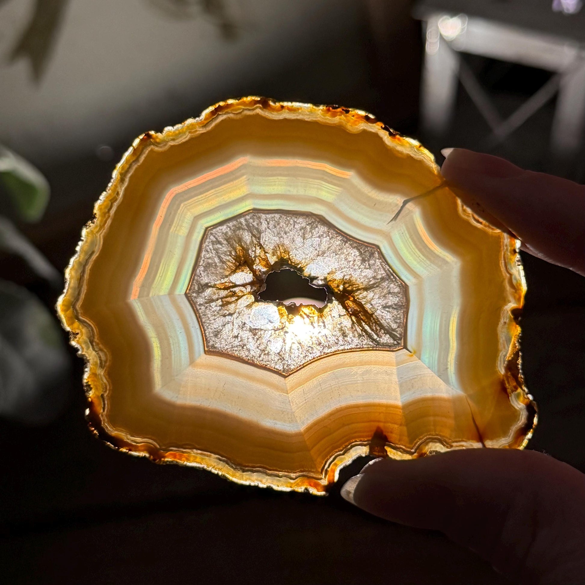 Rainbow Iris Agate | Iris Agate Slice