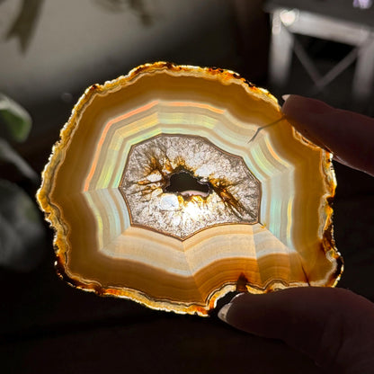 Rainbow Iris Agate | Iris Agate Slice