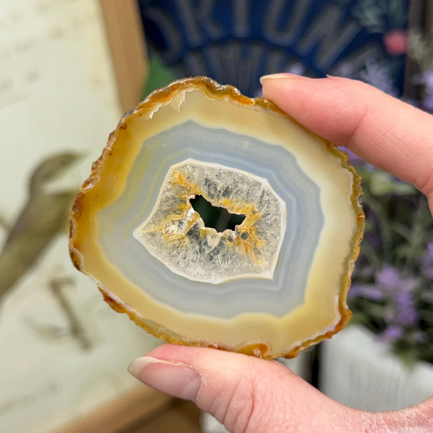 Rainbow Iris Agate | Iris Agate Slice