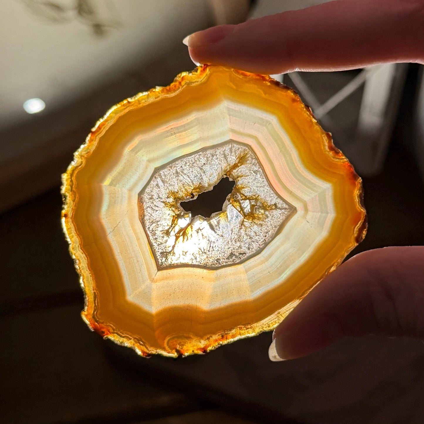 Rainbow Iris Agate | Iris Agate Slice