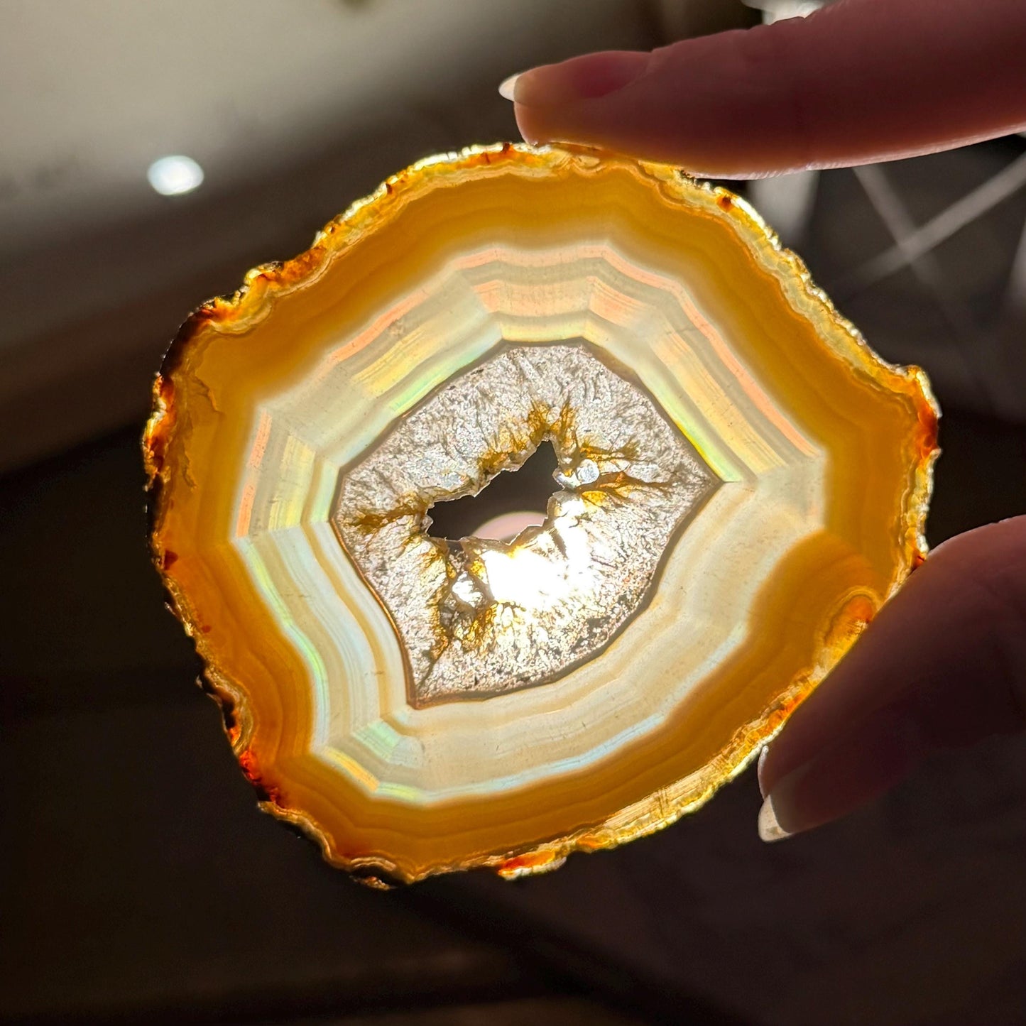 Rainbow Iris Agate | Iris Agate Slice