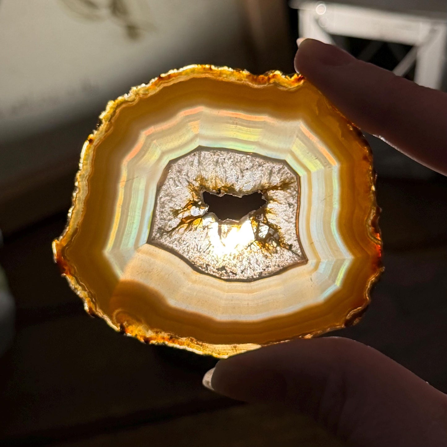 Rainbow Iris Agate | Iris Agate Slice